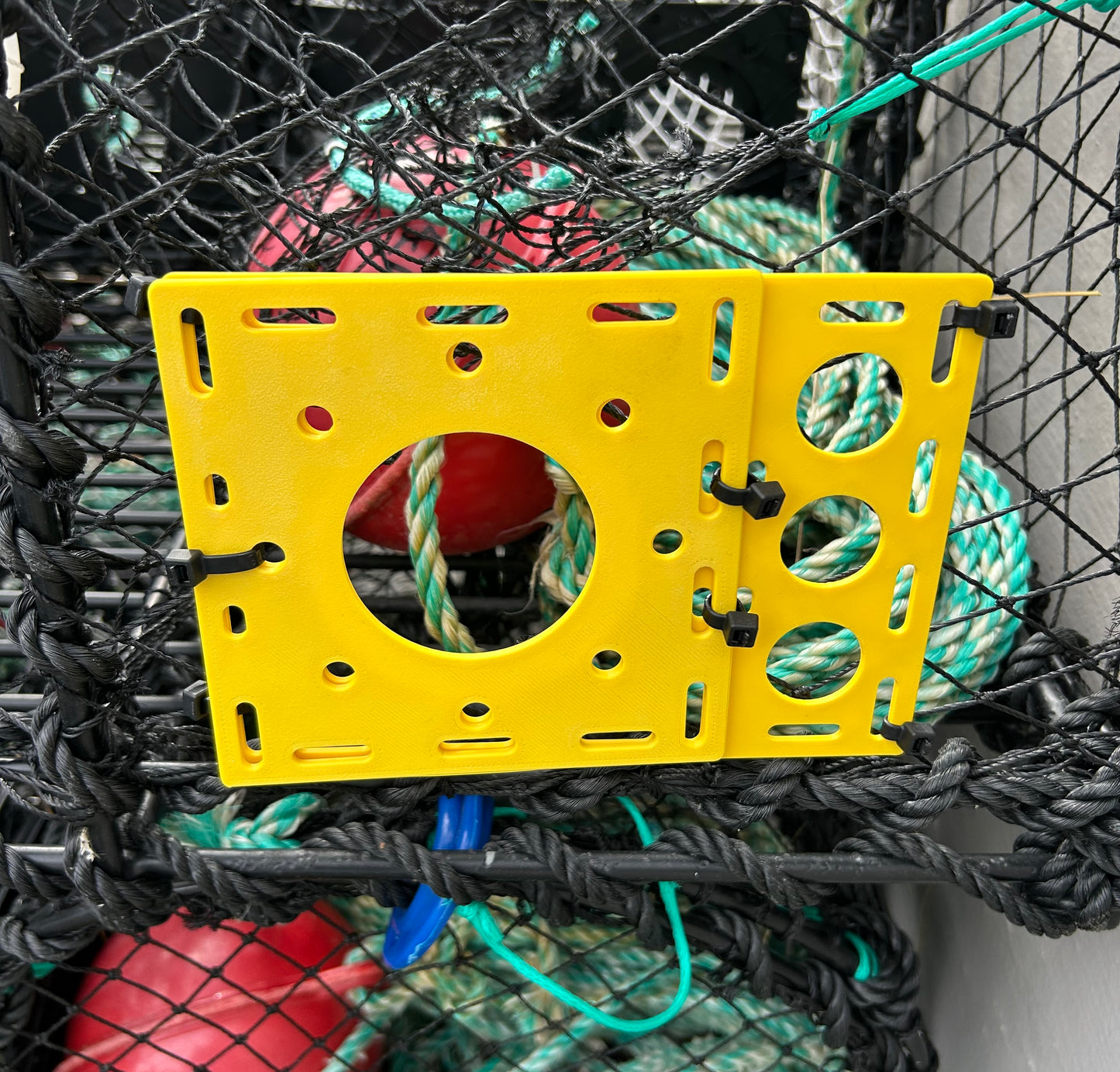 Kombinert fluktåpning for krabbe og hummer